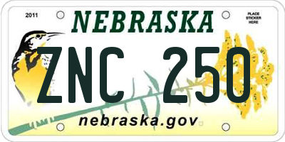 NE license plate ZNC250