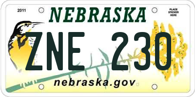 NE license plate ZNE230