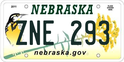 NE license plate ZNE293