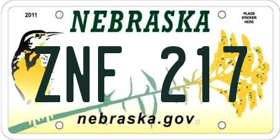 NE license plate ZNF217