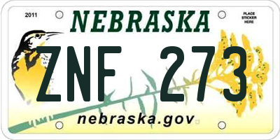NE license plate ZNF273