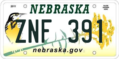 NE license plate ZNF391