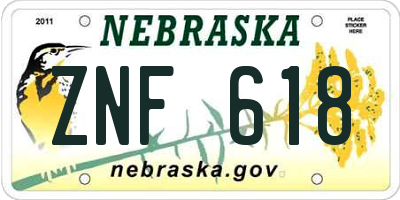 NE license plate ZNF618