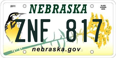 NE license plate ZNF817