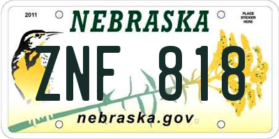 NE license plate ZNF818