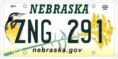 NE license plate ZNG291