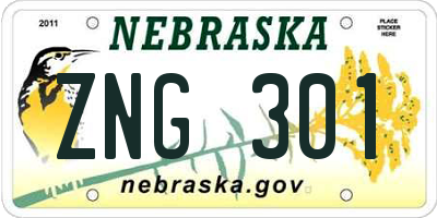 NE license plate ZNG301