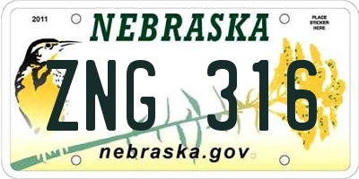 NE license plate ZNG316
