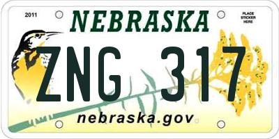 NE license plate ZNG317