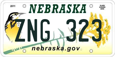 NE license plate ZNG323