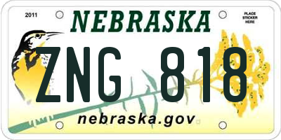 NE license plate ZNG818
