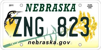 NE license plate ZNG823
