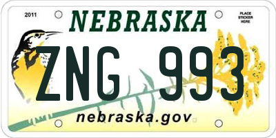 NE license plate ZNG993