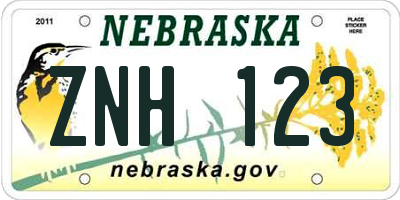 NE license plate ZNH123