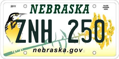 NE license plate ZNH250