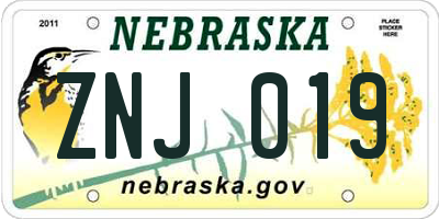 NE license plate ZNJ019