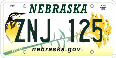 NE license plate ZNJ125