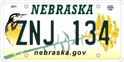 NE license plate ZNJ134