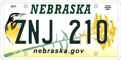 NE license plate ZNJ210