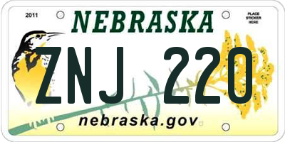 NE license plate ZNJ220