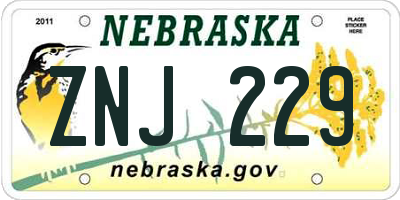NE license plate ZNJ229