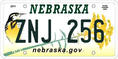 NE license plate ZNJ256