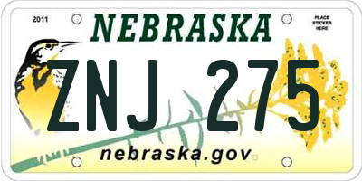NE license plate ZNJ275
