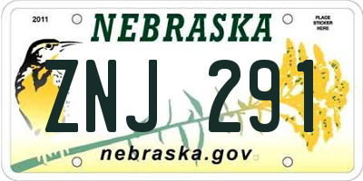 NE license plate ZNJ291