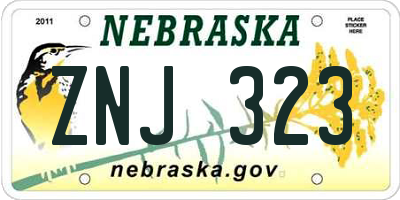 NE license plate ZNJ323