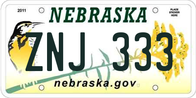 NE license plate ZNJ333
