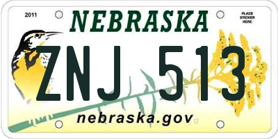 NE license plate ZNJ513