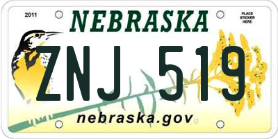 NE license plate ZNJ519