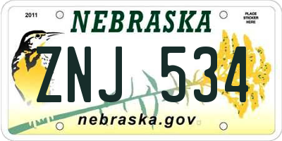 NE license plate ZNJ534