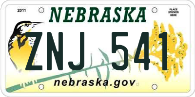 NE license plate ZNJ541