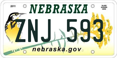 NE license plate ZNJ593