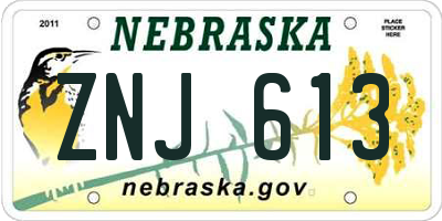 NE license plate ZNJ613