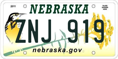 NE license plate ZNJ919