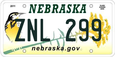 NE license plate ZNL299