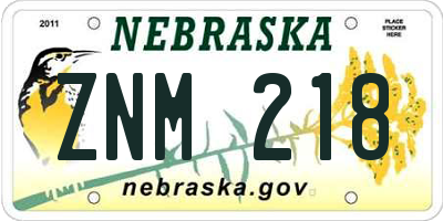 NE license plate ZNM218