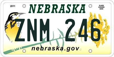 NE license plate ZNM246
