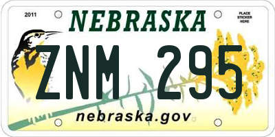 NE license plate ZNM295