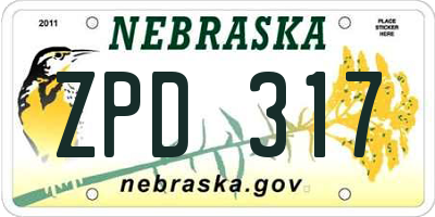 NE license plate ZPD317