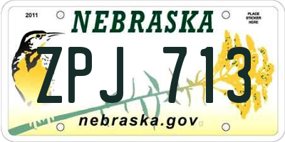 NE license plate ZPJ713