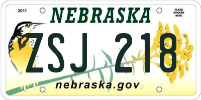NE license plate ZSJ218