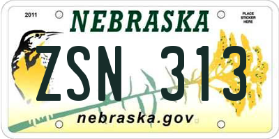 NE license plate ZSN313