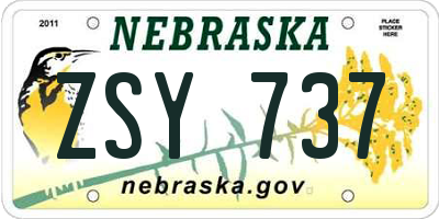 NE license plate ZSY737