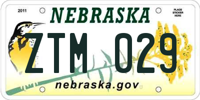 NE license plate ZTM029