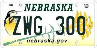 NE license plate ZWG300
