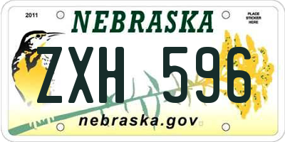 NE license plate ZXH596