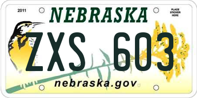 NE license plate ZXS603